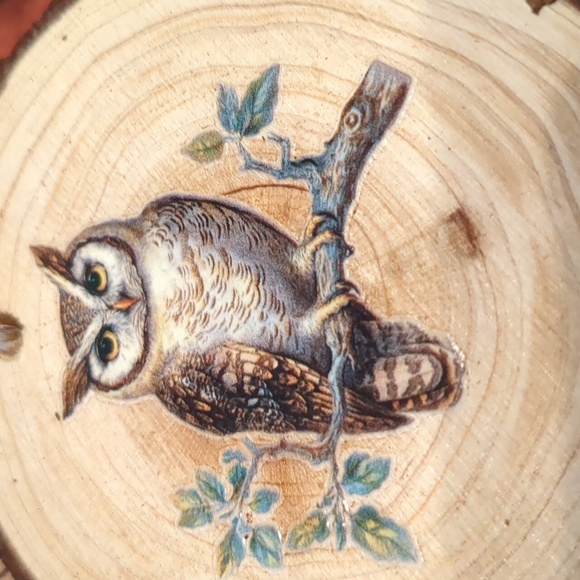 🦉Fall Wooden Ornament w/an Owl - Picture 2 of 3